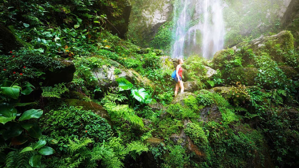 Waterfalls explore Costa Rica